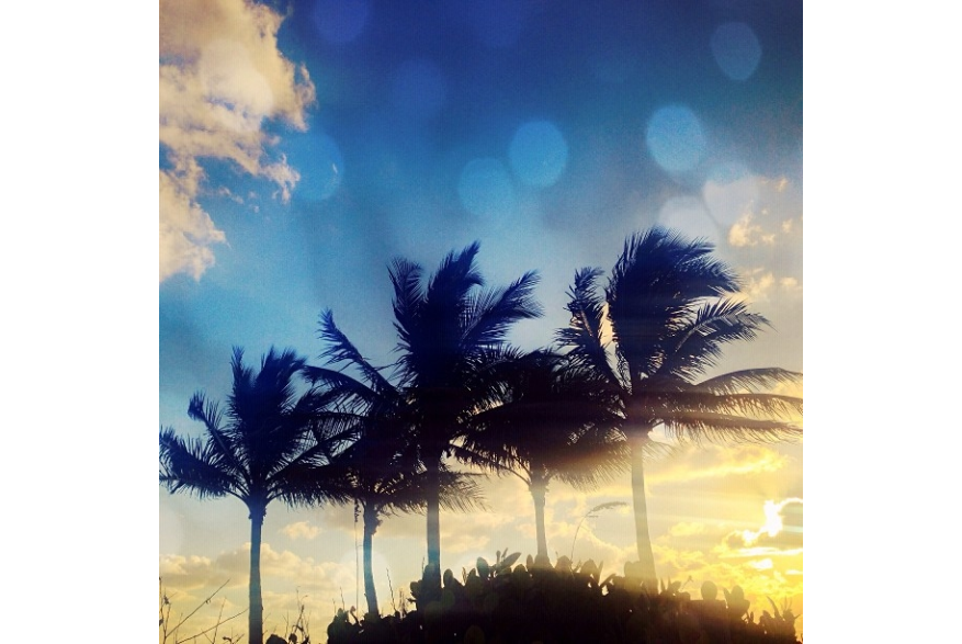 Instagram photo liked on 10/29/13