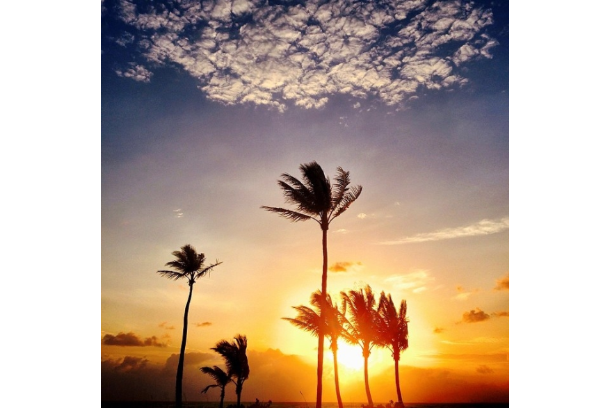 Instagram photo liked on 03/28/14