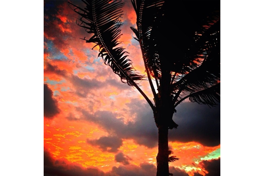 Instagram photo liked on 11/14/13
