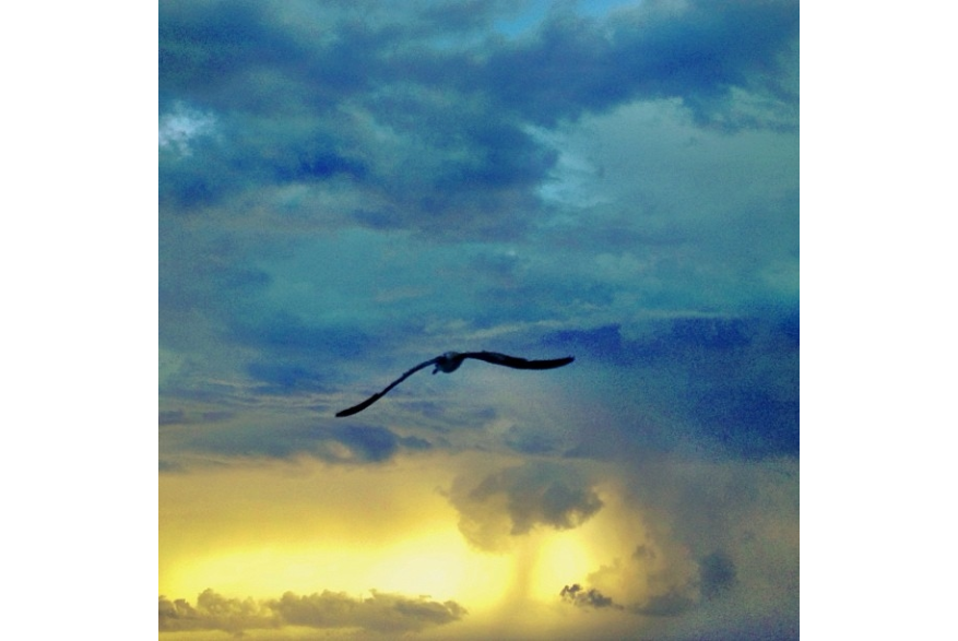 Instagram photo liked on 09/07/13