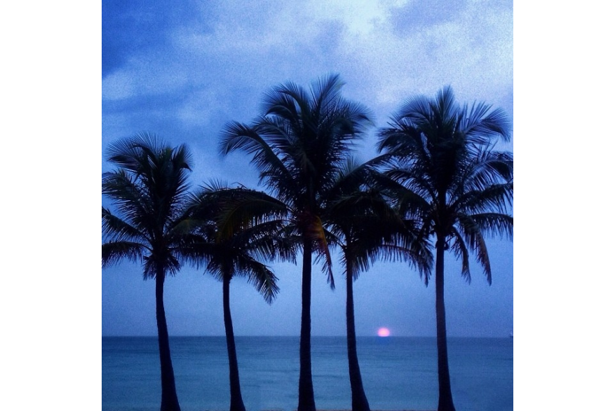 Instagram photo liked on 01/29/14