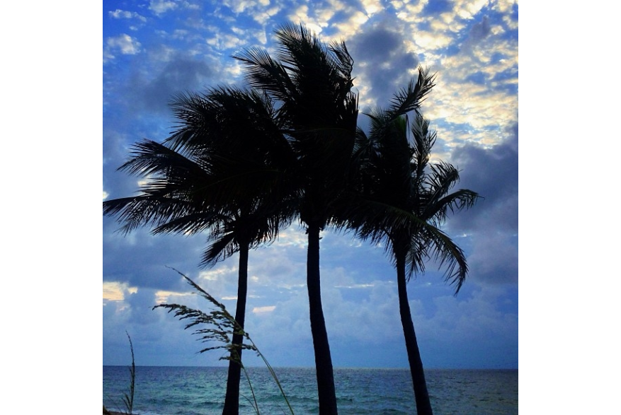 Instagram photo liked on 07/19/13