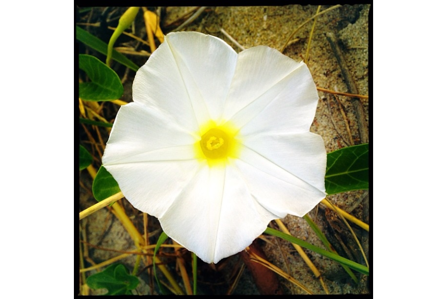 Instagram photo liked on 06/24/13