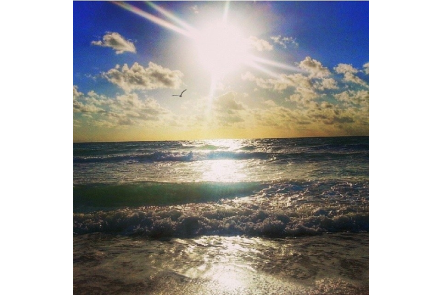 Instagram photo posted on 03/16/14