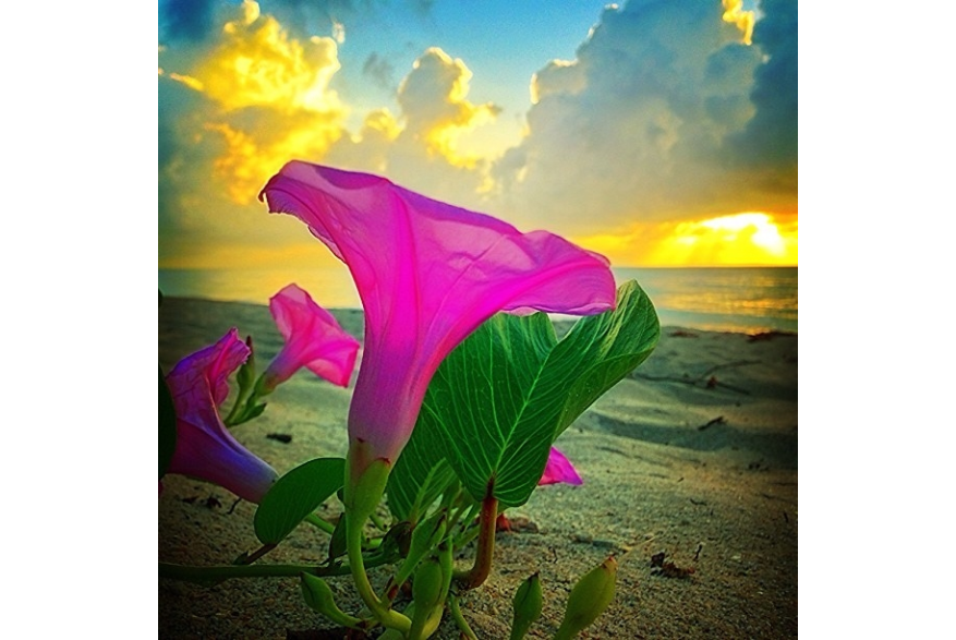 Instagram photo liked on 07/23/13