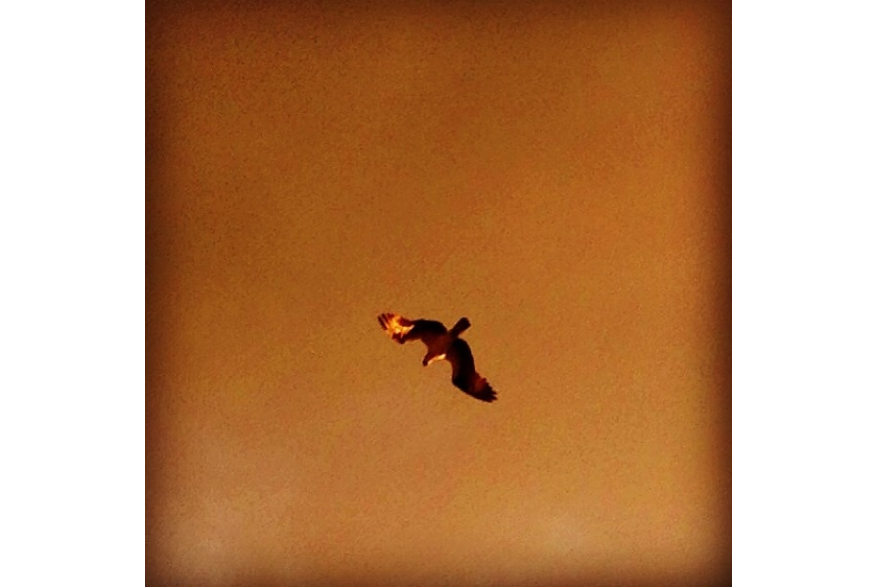 Instagram photo liked on 09/14/13