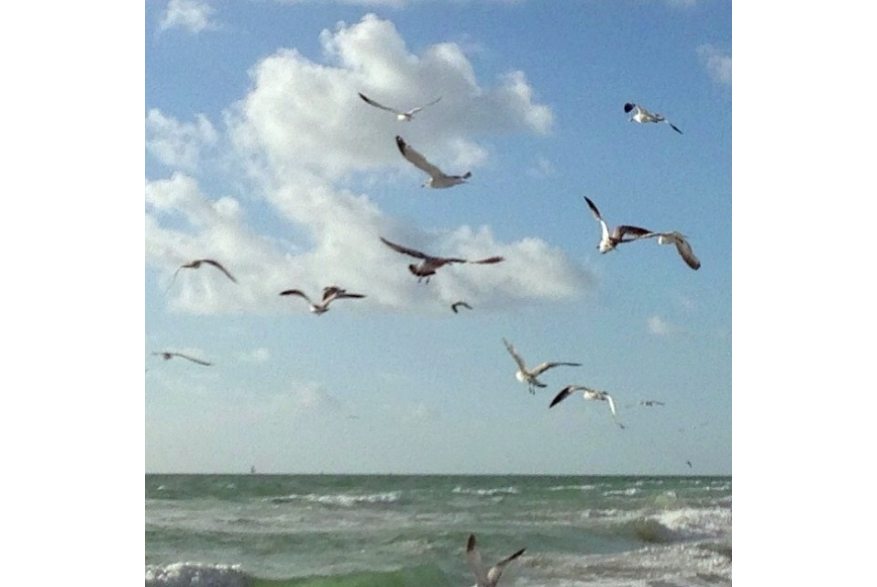 Instagram photo liked on 01/02/14