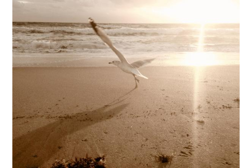 Twitter photo posted on 12/15/12