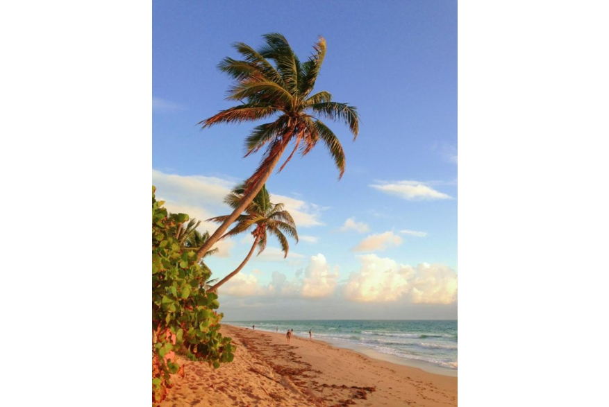Twitter photo posted on 12/16/12