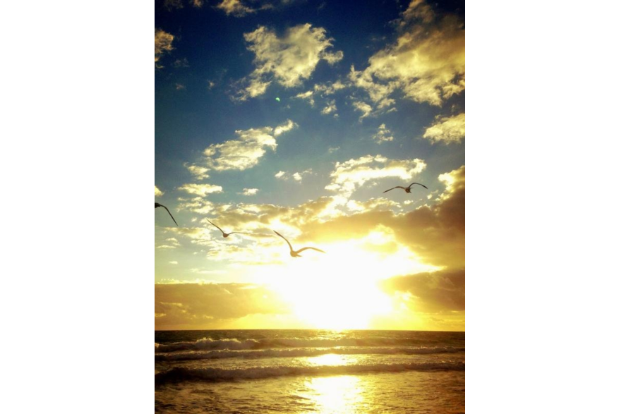 Twitter photo posted on 12/04/12