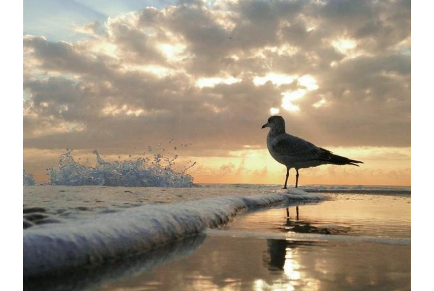 Twitter photo posted on 12/13/12