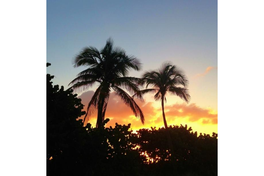 Twitter photo posted on 01/02/13