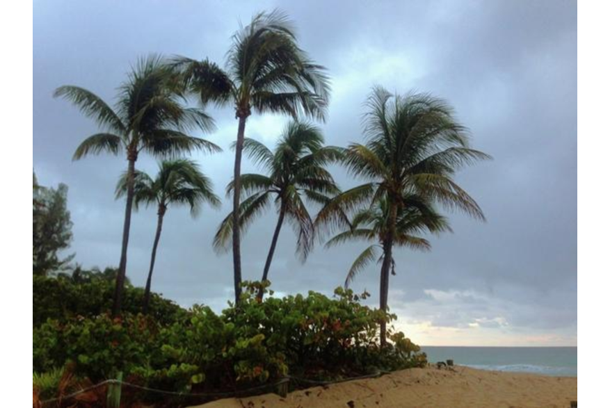 Twitter photo posted on 01/19/13