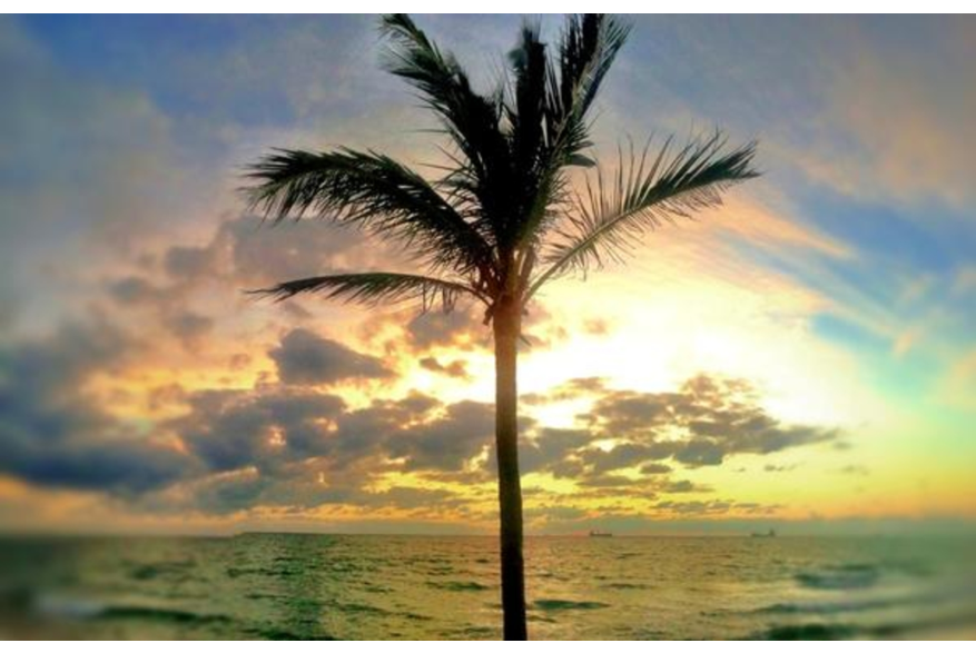 Twitter photo posted on 01/15/13