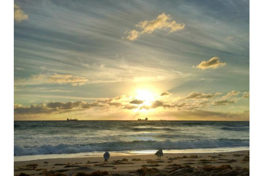 Twitter photo posted on 01/14/13