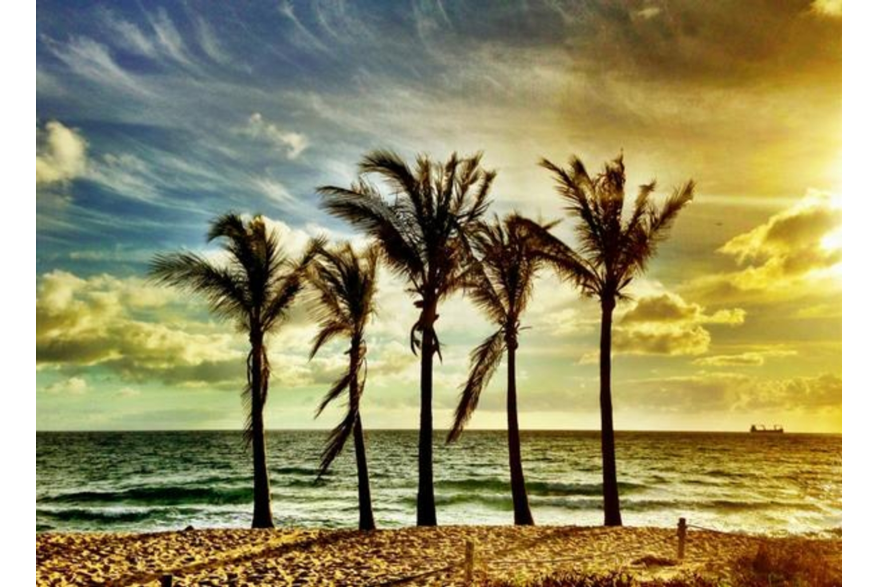 Twitter photo posted on 01/14/13