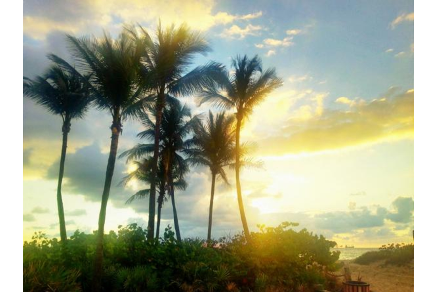 Twitter photo posted on 01/15/13