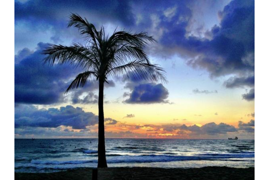 Twitter photo posted on 01/17/13
