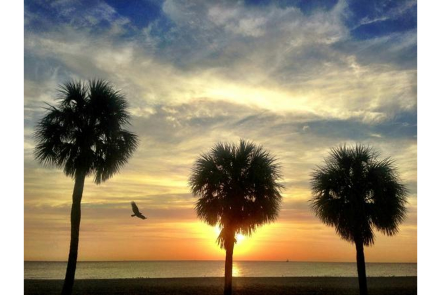Twitter photo posted on 01/22/13