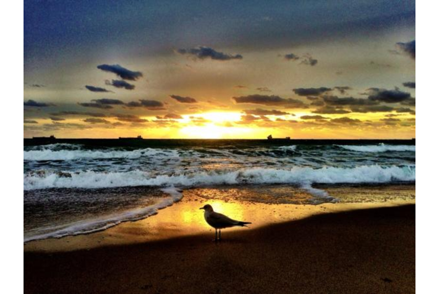 Twitter photo posted on 01/23/13