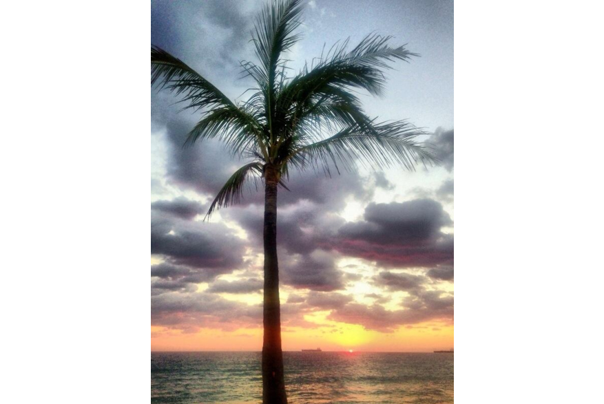 Twitter photo posted on 01/25/13