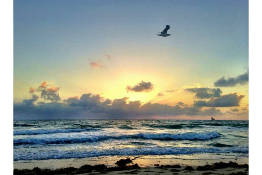 Twitter photo posted on 01/29/13