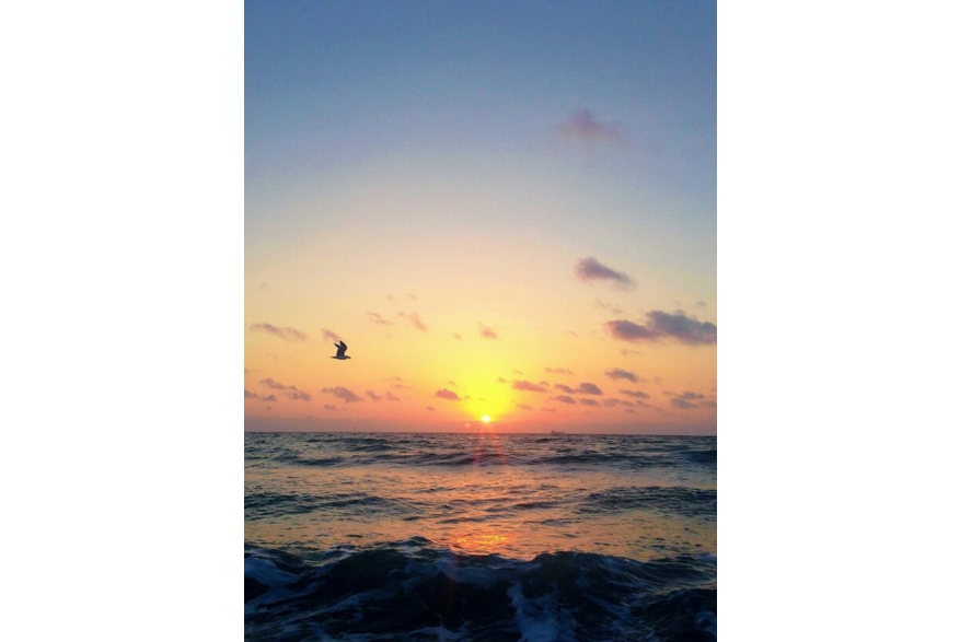 Twitter photo posted on 02/13/13
