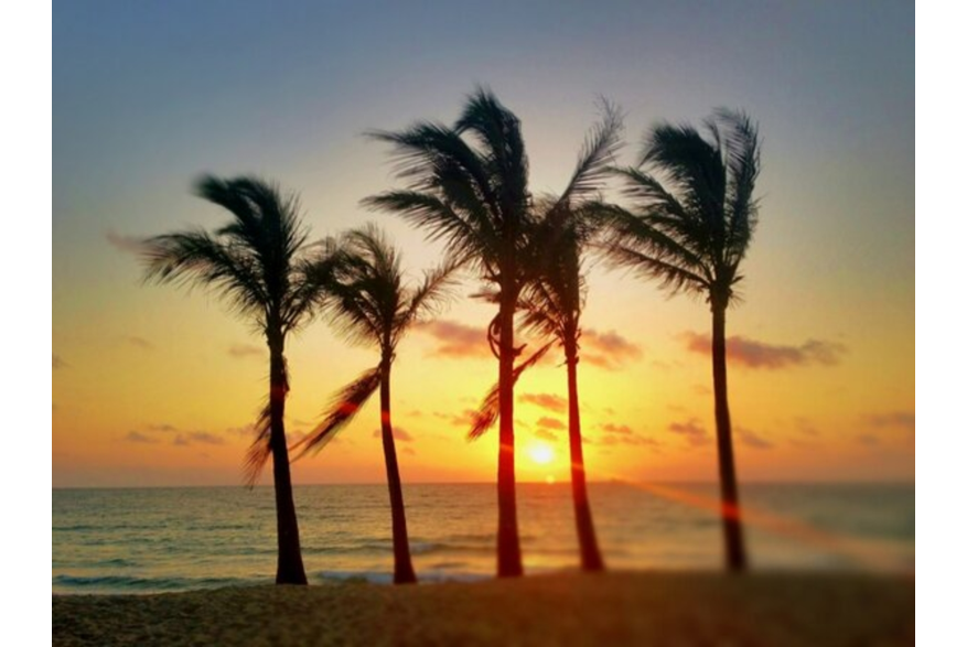 Twitter photo posted on 02/13/13