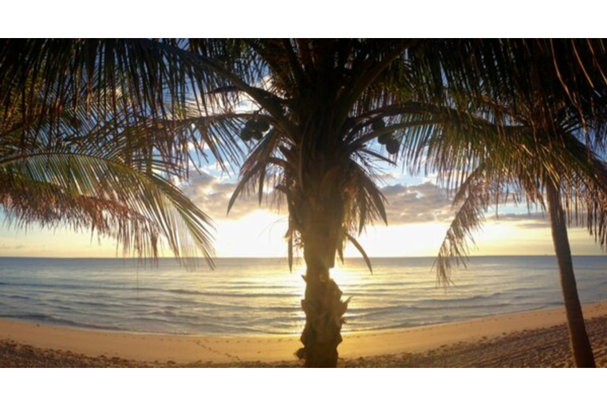 Twitter photo posted on 02/03/13