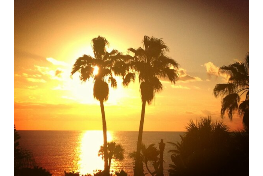 Twitter photo posted on 02/05/13