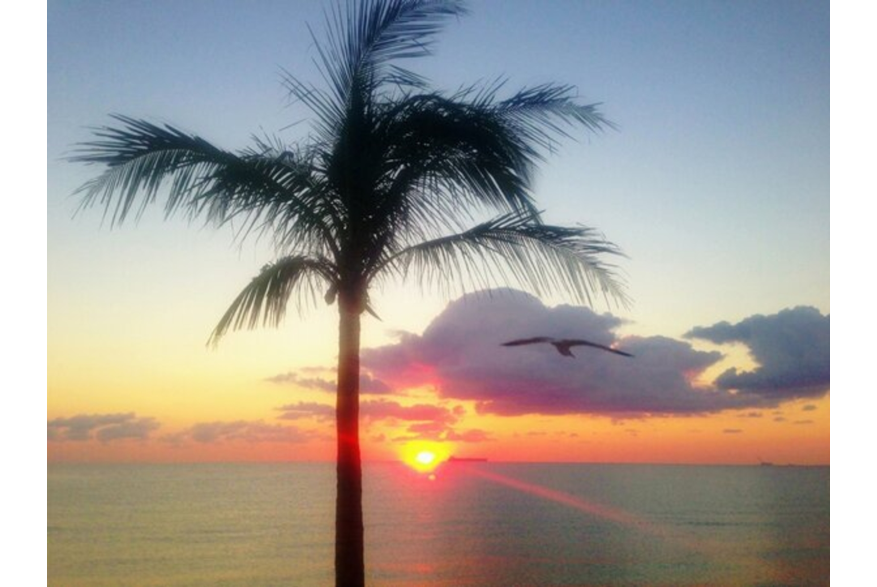 Twitter photo posted on 02/06/13