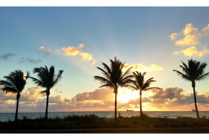Twitter photo posted on 02/07/13