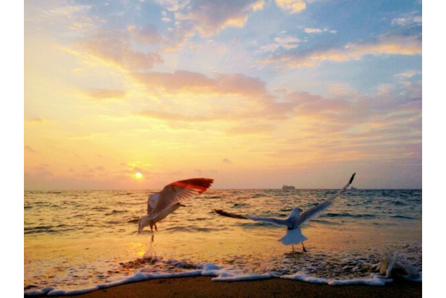 Twitter photo posted on 02/26/13