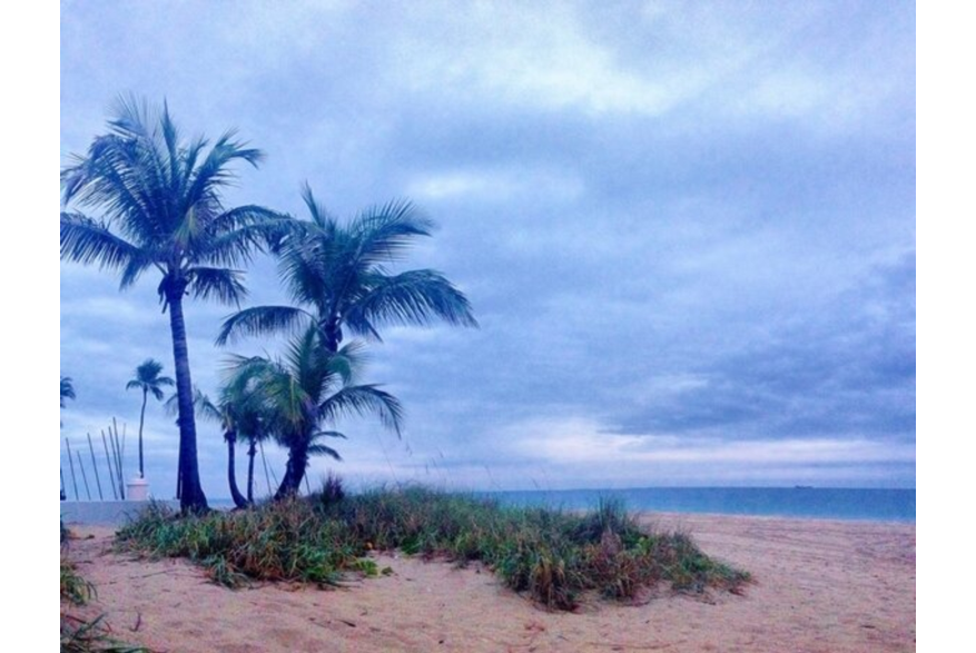 Twitter photo posted on 02/16/13