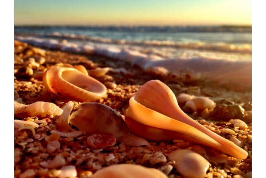 Twitter photo posted on 02/17/13