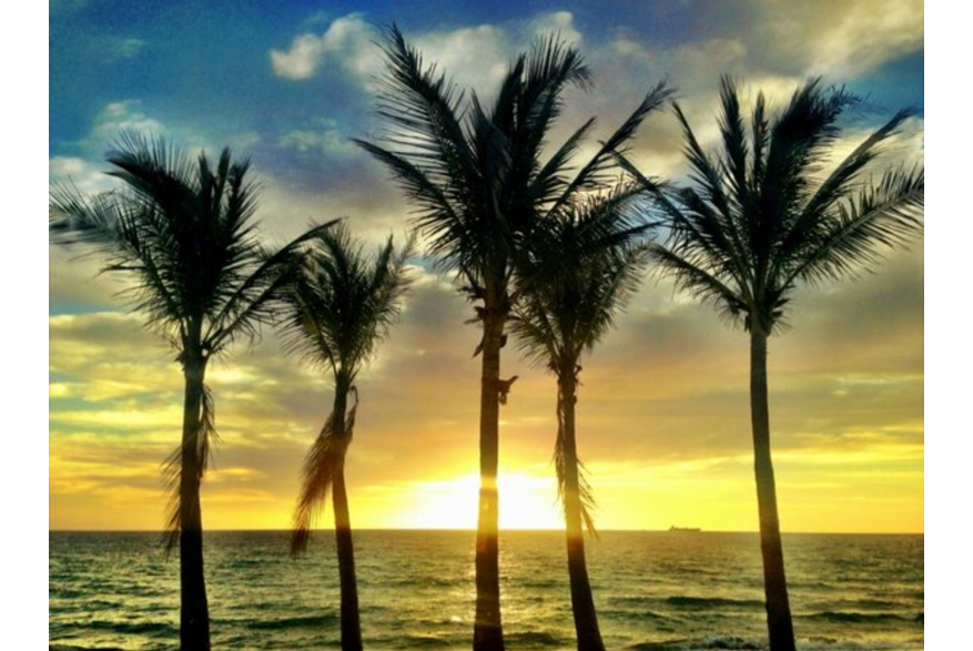 Twitter photo posted on 02/21/13