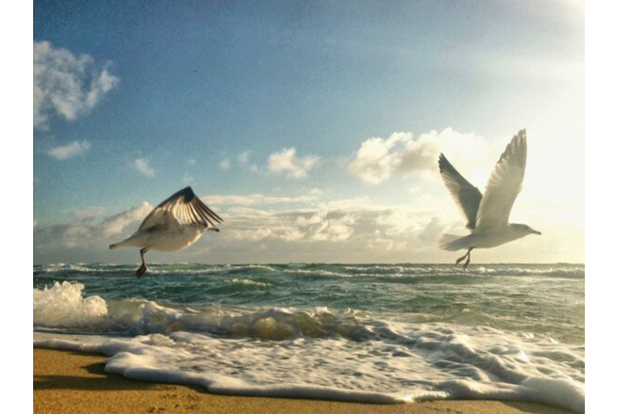 Twitter photo posted on 02/22/13