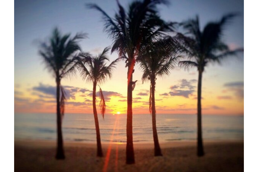 Twitter photo posted on 03/05/13