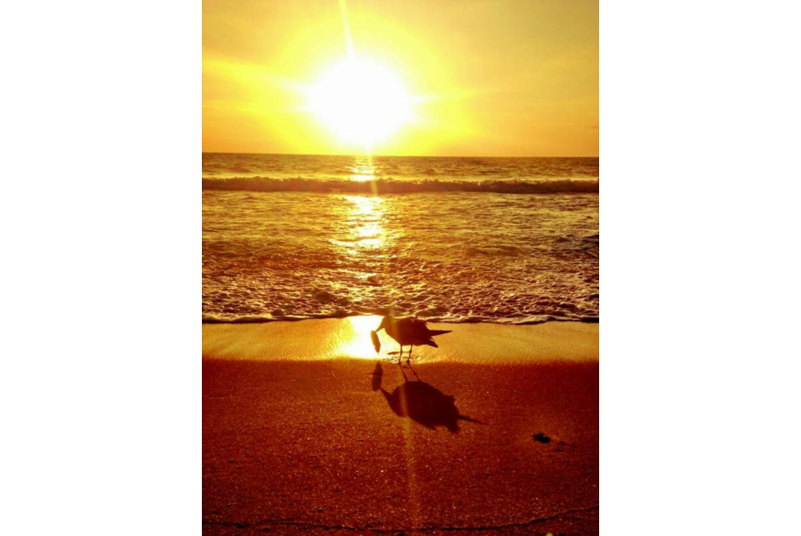 Twitter photo posted on 03/22/13