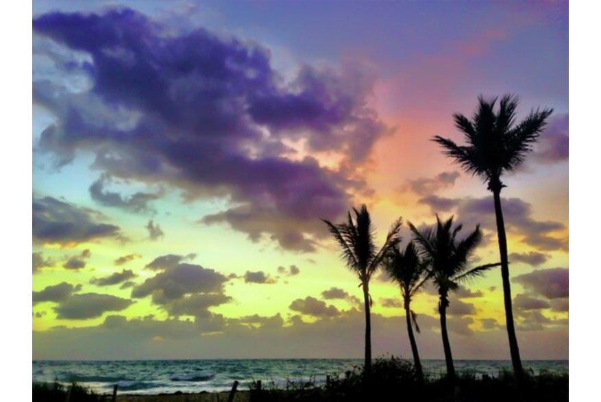 Twitter photo posted on 03/11/13