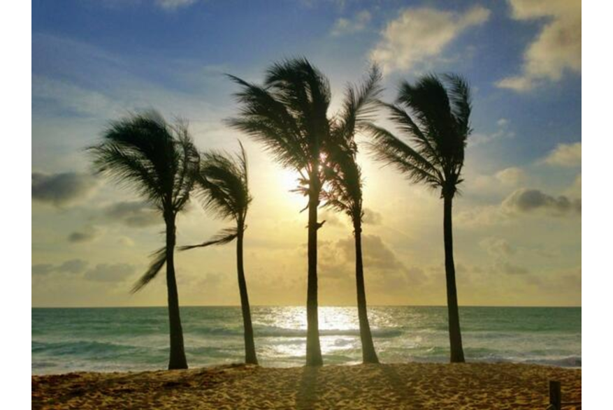 Twitter photo posted on 03/12/13