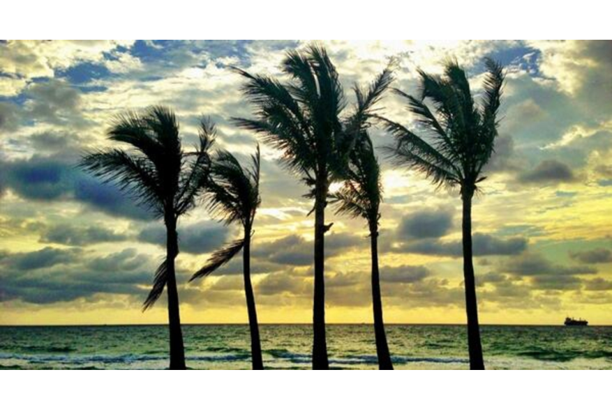 Twitter photo posted on 03/19/13