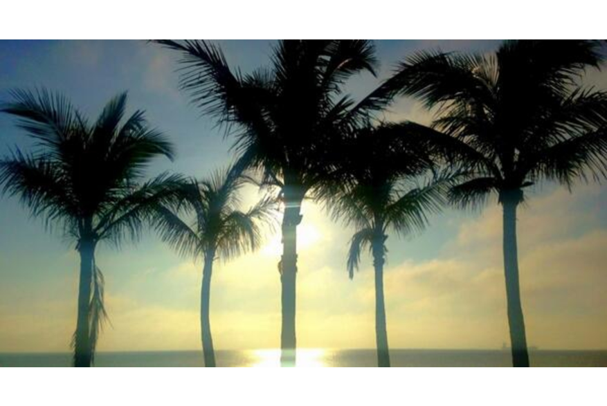 Twitter photo posted on 04/03/13
