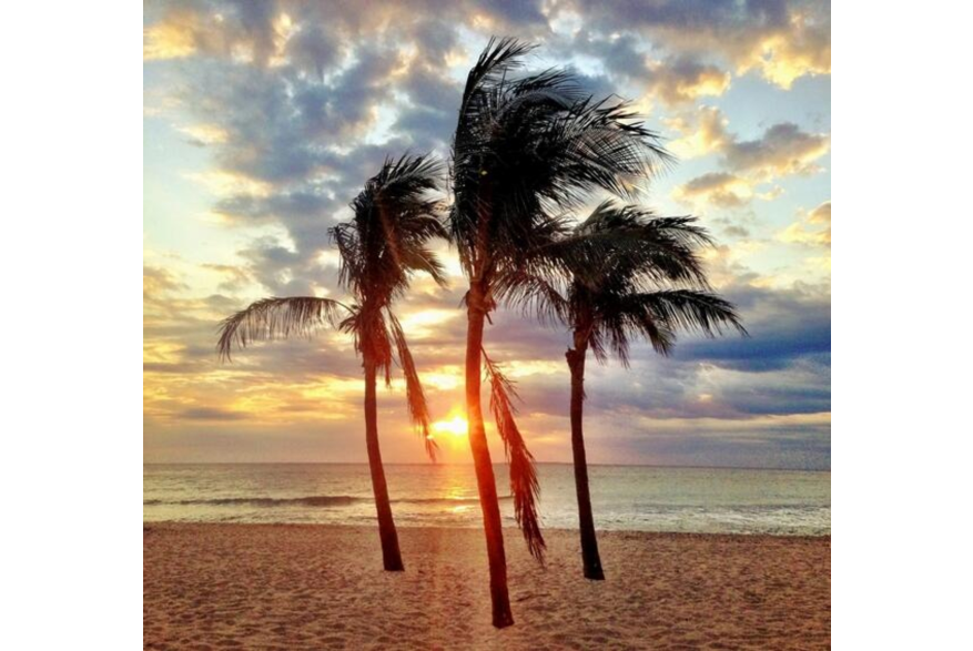 Twitter photo posted on 03/26/13