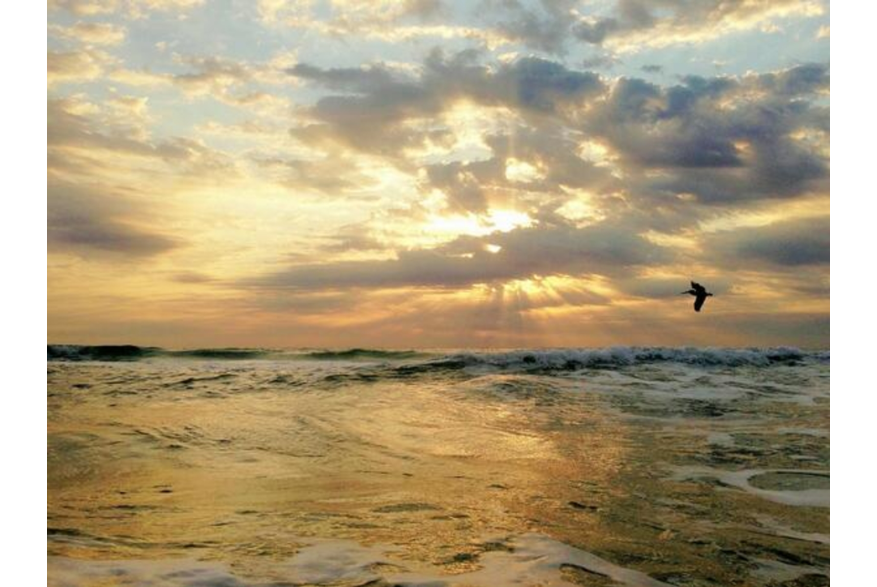 Twitter photo posted on 03/26/13