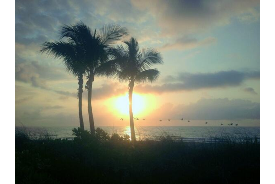 Twitter photo posted on 04/15/13