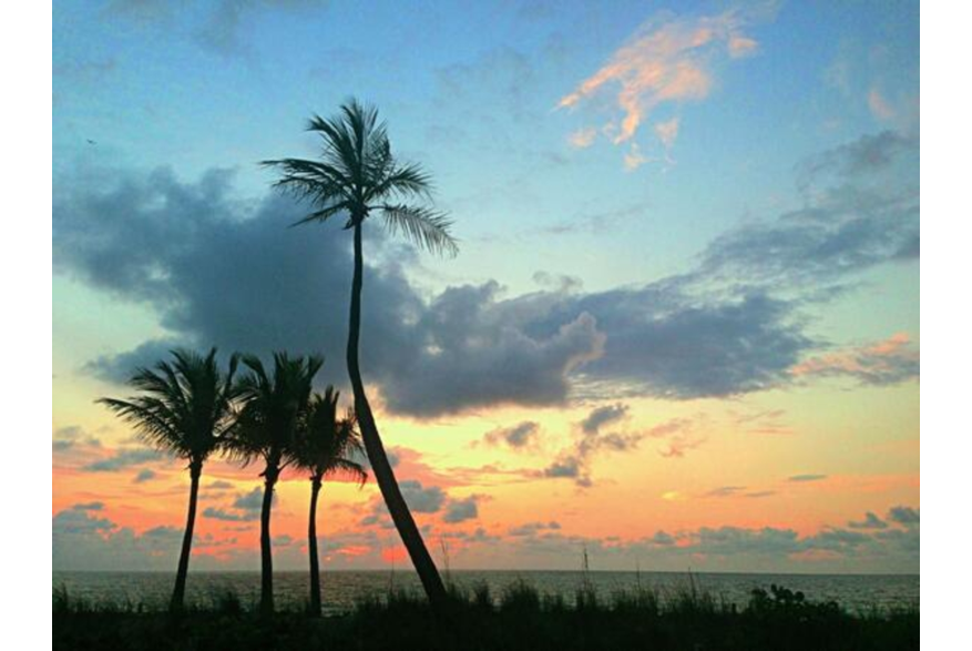 Twitter photo posted on 05/01/13