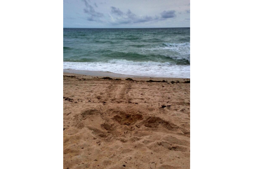 Twitter photo posted on 06/05/13