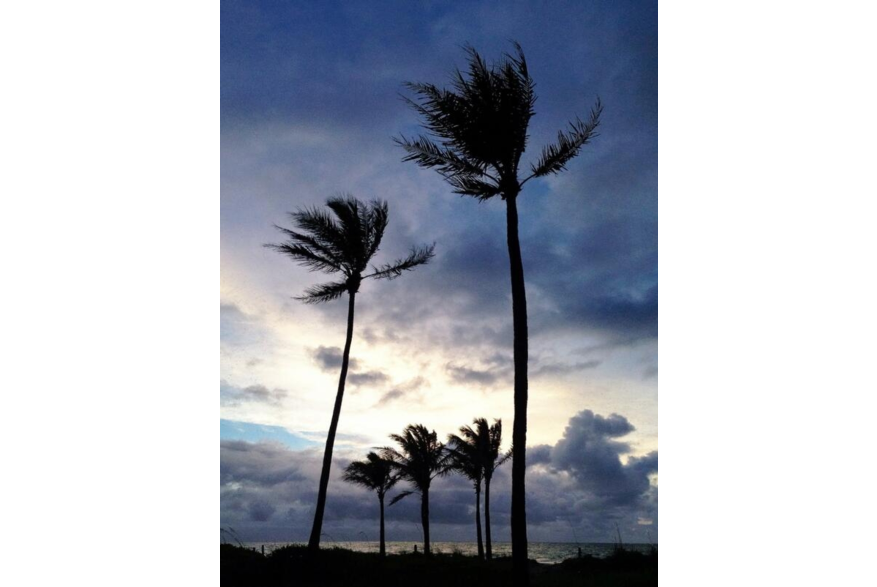 Twitter photo posted on 05/31/13