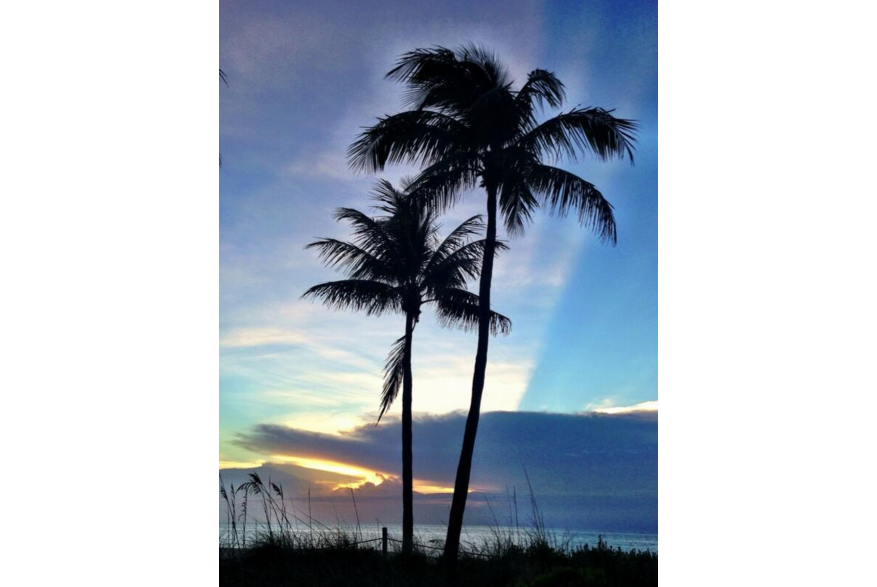 Twitter photo posted on 06/07/13
